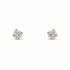 14k yellow gold mini stud earrings with two round diamonds