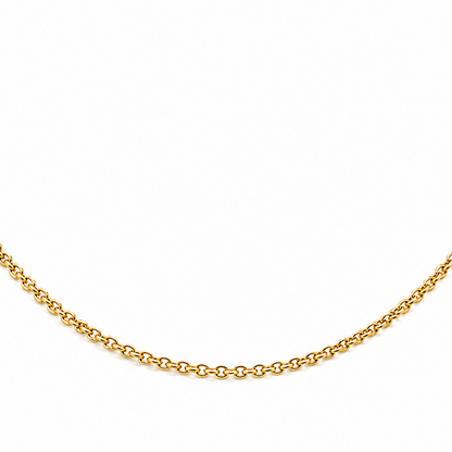 18k yellow gold chain necklace worn at the collarbone